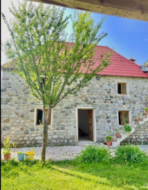 Bujtina Lokthi